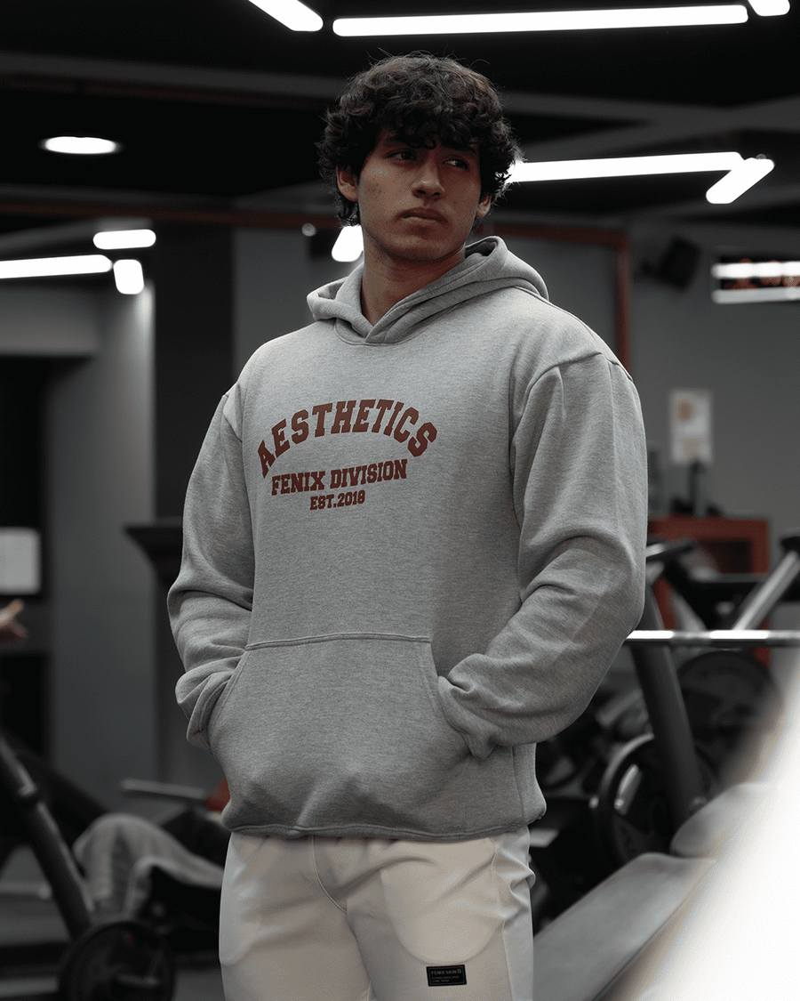 UNIVERSITY AESTHETIC HOODIE - SKYSCRAPPER GRAY