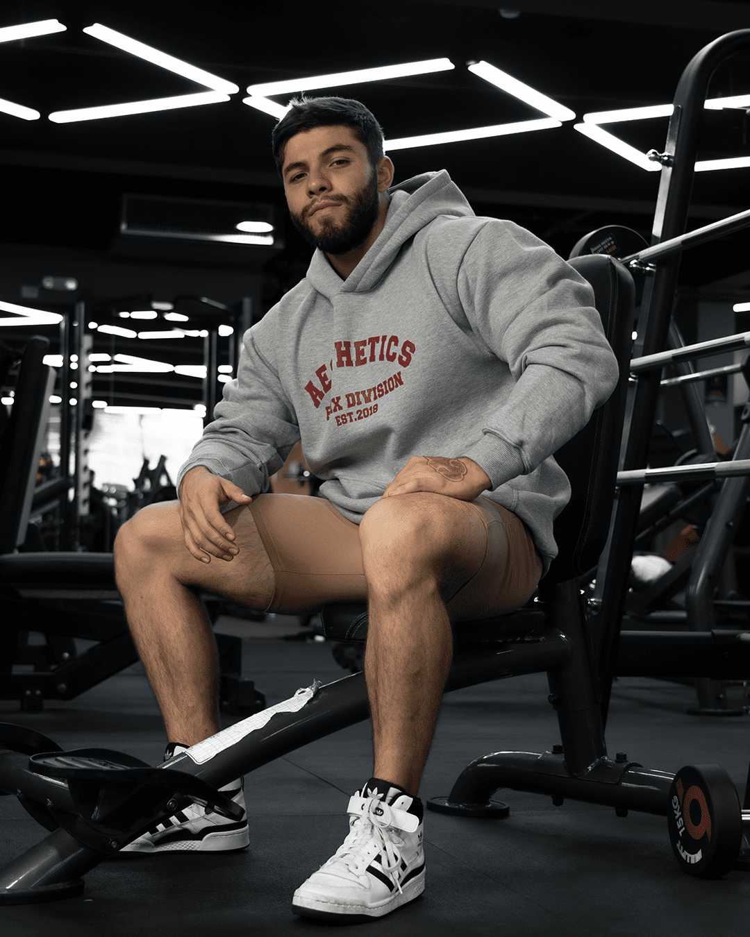 UNIVERSITY AESTHETIC HOODIE - SKYSCRAPPER GRAY
